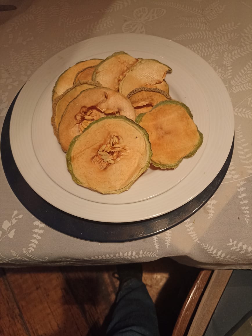 Melon Deshidratado