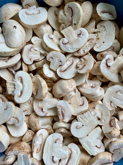 Champiñon Deshidratado