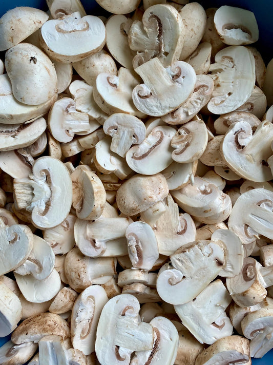 Champiñon Deshidratado