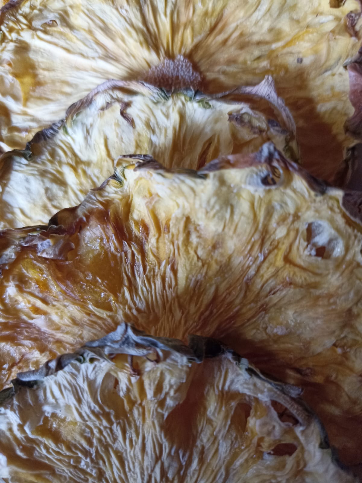 Piña Deshidratada